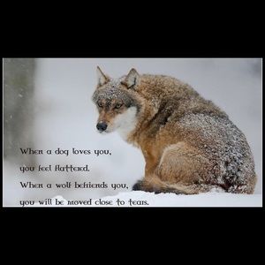 Meet your Posher, Jake